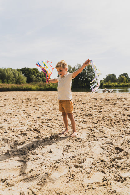 Hand Kite with Ribbons | Dance Ribbons | Pastel